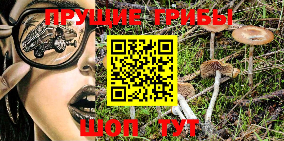 купить наркоту  Вход с VPN  Лениногорск  Галлюциногенные грибы Psilocybine cubensis 