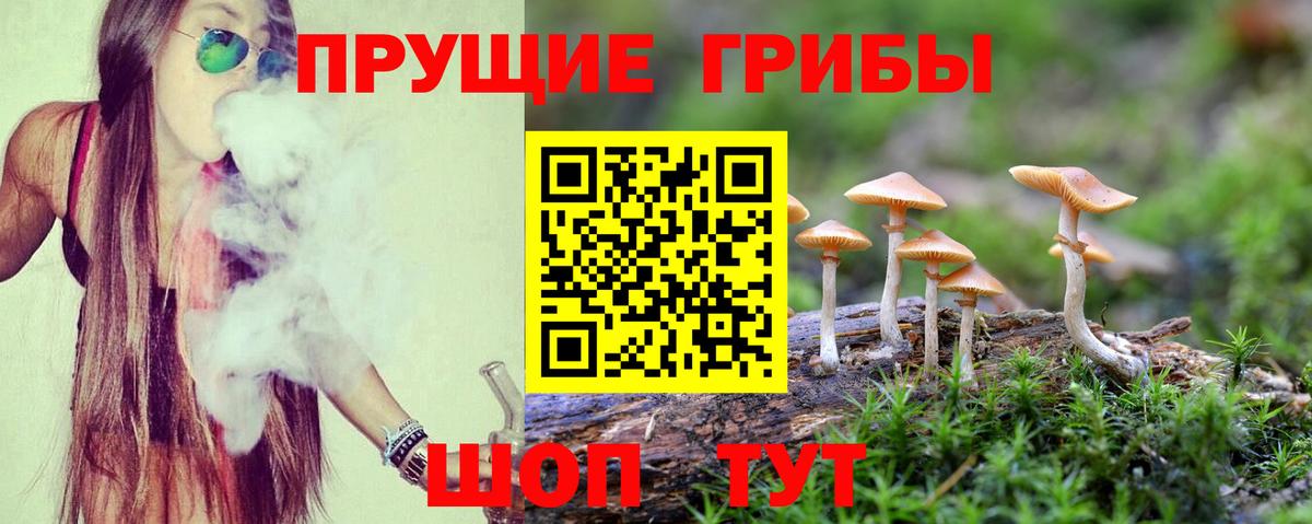 Галлюциногенные грибы Magic Shrooms Лениногорск