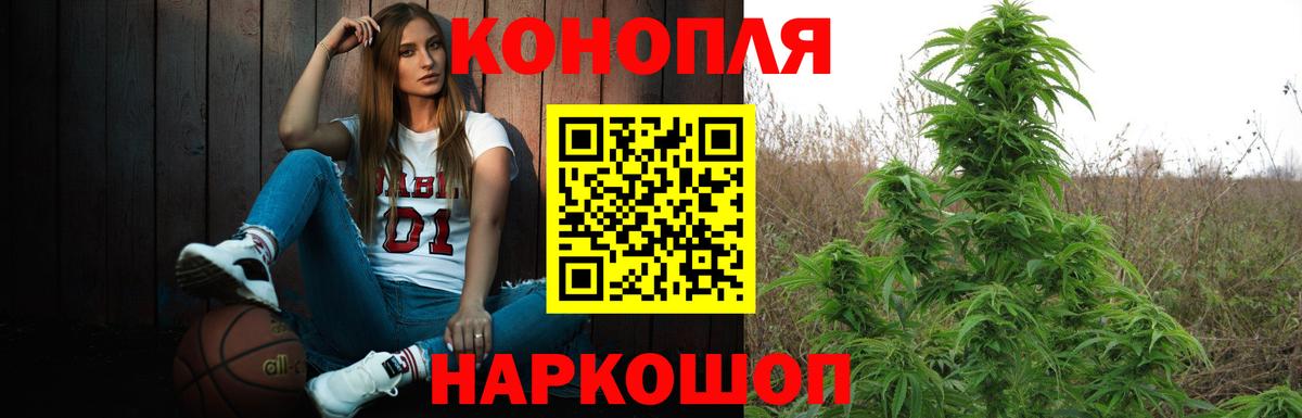 Шишки марихуана сатива Лениногорск